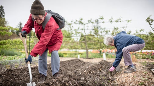 Volunteers working in the Walled Garden at Wimpole Estate, Cambridgeshire